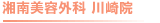 湘南美容外科 川崎院