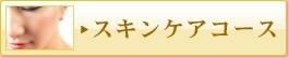 �X�L���P�A�R�[�X