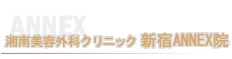 �V�hANNEX�@