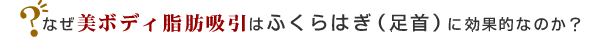 �Ȃ�SBC�����������b�z���͂ӂ���͂��i����j�Ɍ��ʓI�Ȃ̂��H