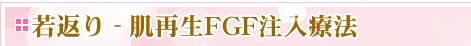 ���Đ�FGF�����Ö@