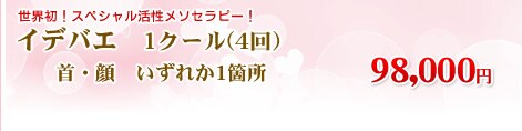 �C�f�o�G�@1�N�[���i4��j�@98,000�~