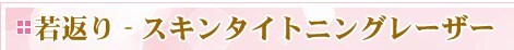 ��Ԃ�@�X�L���^�C�g�j���O���[�U�[