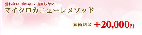 マイクロカニューレメソッド 施術料金+20,000円