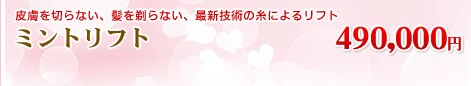 ミントリフト 490,000円