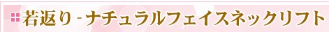 ��Ԃ�@�i�`�������t�F�C�X�l�b�N���t�g