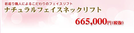 �i�`�������t�F�C�X�l�b�N���t�g�@378,000�~