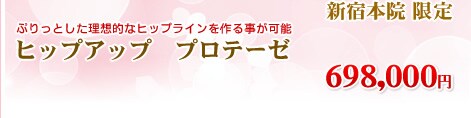 ヒップアップ プロテーゼ 698,000円