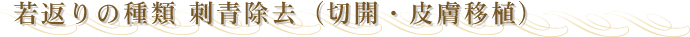 ��Ԃ�̎�ށ@�h�����i�؊J�E�畆�ڐA�j