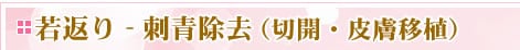 ��Ԃ�@�h�����i�؊J�E�畆�ڐA�j