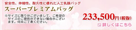 スーパープレミアムバッグ 245,000円