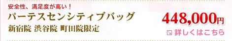 パーテスセンシティブバッグ 448,000円