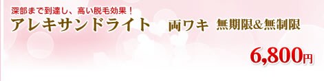 アレキサンドライト 両ワキ 回数無制限 8,800円