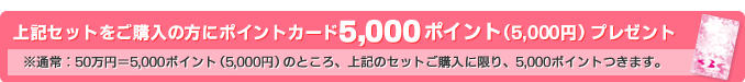 上記セットをご購入の方にポイントカード5,000ポイントプレゼント
