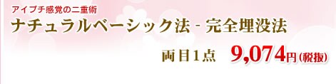 ナチュラルベーシック法 両目4点(片目2点ずつ)19,600円