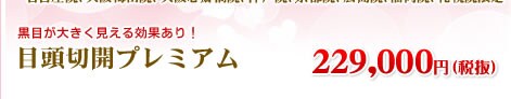 目頭形成 240,000円