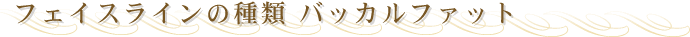 �t�F�C�X���C���̎�ށ@�o�b�J���t�@�b�g