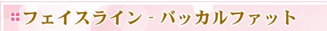 �t�F�C�X���C���@�o�b�J���t�@�b�g