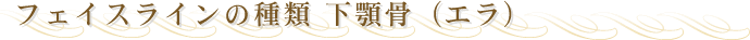 �t�F�C�X���C���̎�ށ@���{���i�G���j