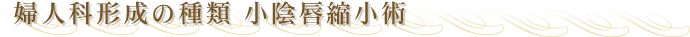 �w�l�Ȍ`���̎�� ���A�O�k���p