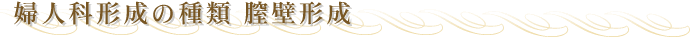 �w�l�Ȍ`���̎�� �S�ǌ`��