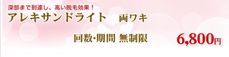 �A���L�T���h���C�g �����L �񐔖������@8,800�~