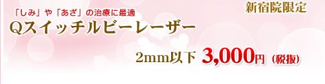 Qスイッチルビーレーザー (1発) 1mm四方 378円