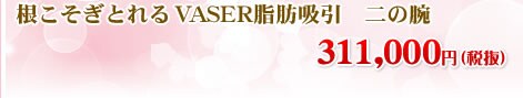 根こそぎとれるVASER(ベイザー)脂肪吸引 大腿(内側) 408,000円