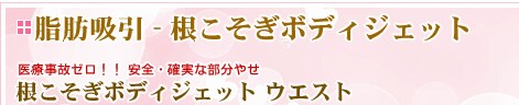 脂肪吸引 根こそぎボディジェット