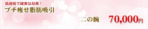 �����g�G���R�[�j�A���[�U�[���b�z���@�����i�㕠��+�������j+�E�G�X�g�@192,000�~