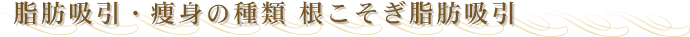 ���b�z���̎�� �؂�Ȃ��ӂ���͂����g�p