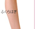 ��ڂł킩��p�[�c