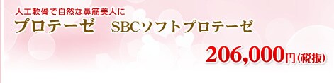�v���e�[�[�@SBC�\�t�g�v���e�[�[�@216,000�~