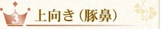 ������i�ؕ@�j