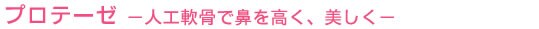 ���e���` �v���e�[�[ �|�l�H��ŕ@�������A�������|