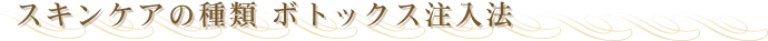 �X�L���P�A�̎�� �{�g�b�N�X�����@