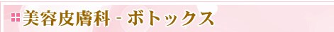 ���e�畆�ȁ@�{�g�b�N�X