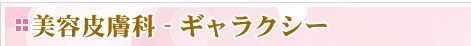 ���e�畆�ȁ@�M�����N�V�[
