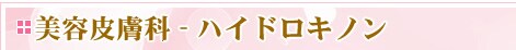 ���e�畆�ȁ@�n�C�h���L�m��