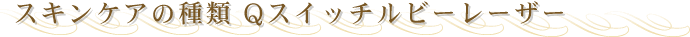 �X�L���P�A�̎�� Q�X�C�b�`���r�[���[�U�[