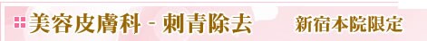 ���e�畆�ȁ@�h����
