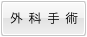 �O�Ȏ�p