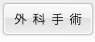 �O�Ȏ�p