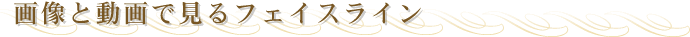 �摜�Ɠ���Ō���{�p��