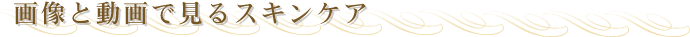 �摜�Ɠ���Ō���{�p��