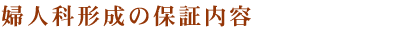 �w�l�Ȍ`���{�p�̕ۏؓ��e