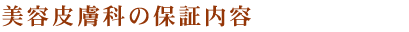 ���e�畆�Ȏ{�p�̕ۏؓ��e