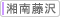 湘南藤沢院