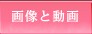 �摜�Ɠ���