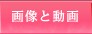 �摜�Ɠ���